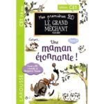 Le Grand Méchant Renard Tome 3 - Je ne veux pas de calins ! Une maman étonnante ! - Spécial CE1